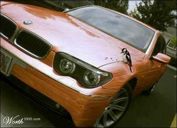 Woody-woodpecker-am-bmw