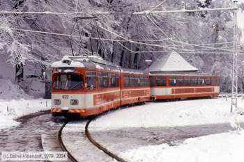 Bielefeld839-ds002514-142