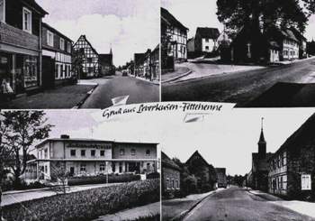 Fettehenne02-sw