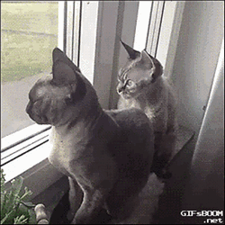 Tumblr-nejx1ktbsn1tv1bhvo1-400