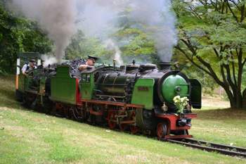 Zum-75-geburtstag-killesberg-bahn-bespannten-353073