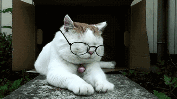 Tumblr-nck4fc3jh11tjkz1mo1-500