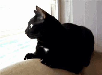 Tumblr-nfvmv03tfb1rwnxnho1-400