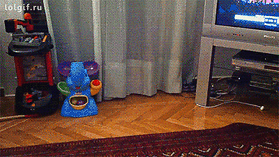 Toms Diskusions - Ecke