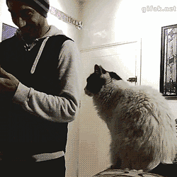 Tumblr-ni2l2udjtv1s2yegdo1-400