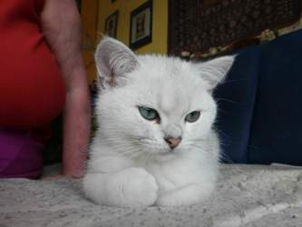 Nico-2015-03-24-15-58-26