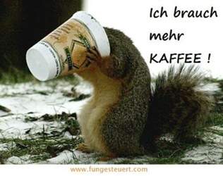 Ich-brauch-mehr-kaffee-kaffeegesteuertes-eichhrnchen-7761216382
