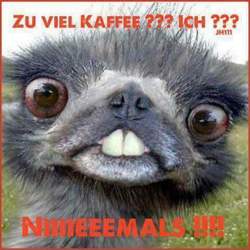 Kaffee-ueberdosis
