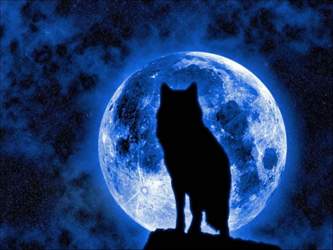 Blue-moon
