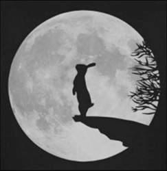 Dark-moon