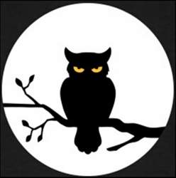 Owl-moon