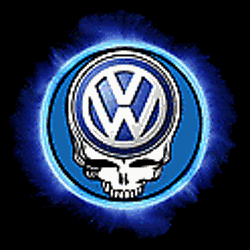 Vw-plazma-skull