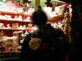 Weihnachtsmarkt-dortmund-2015-12-29-17-48-40