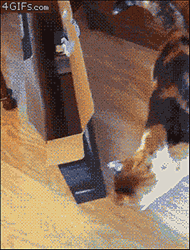 Tumblr-mawm55mjca1qdlh1io1-250