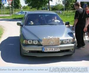 Alex-1157351587