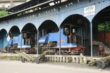 Steam-locomotives-of-darjeeling-himalayan-railway-in-their-shed-darjeeling