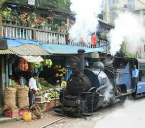 Darjeelingtrainfruitshopcrop