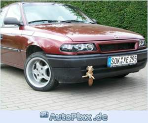 Astra-scrat