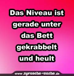Das-niveau-ist-gerade-unter-das-bett-gekrabbelt-und-heult