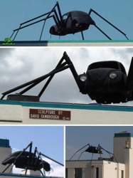 Spider-bug3a
