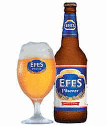 Dri25-beer-efes-330ml