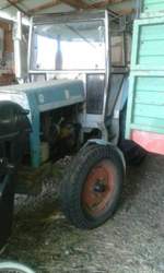 Eicher