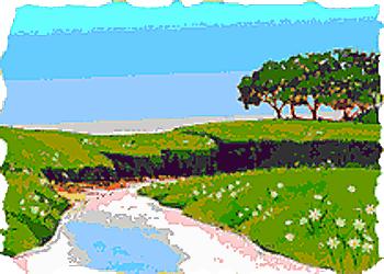 Land