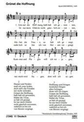 Gruenet-die-hoffnung