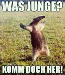 T5260be-was-junge-komm-doch-her