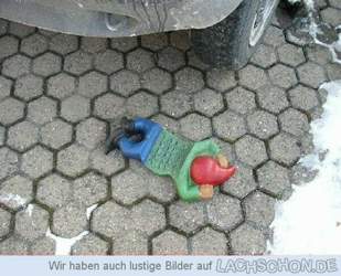 Sonjahochstrasser-1107116309
