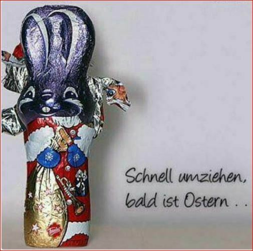 Toms Diskusions - Ecke