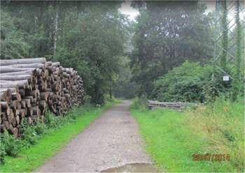 Rheinisch-bergischer-hochsommer