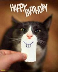 Geburtstag