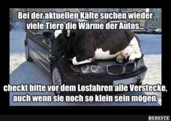 Tiere