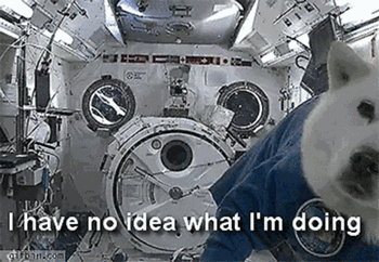 I-have-no-idea-what-i-am-doing