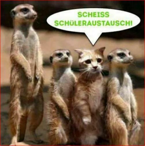 Toms Diskusions - Ecke