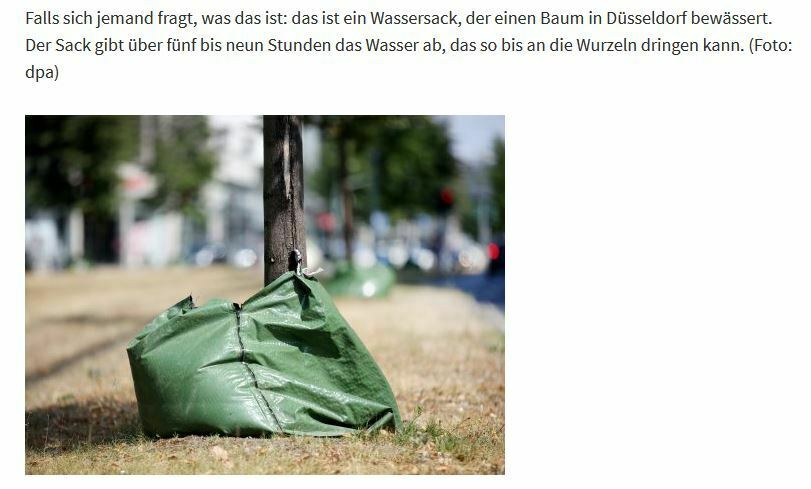Toms Diskusions - Ecke
