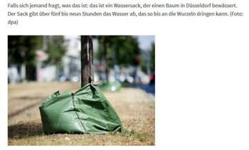 Alter-gruener-sack