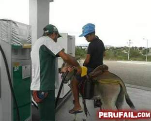 Burro-a-gasolina
