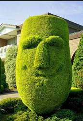 Buchs
