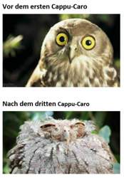 Caputh