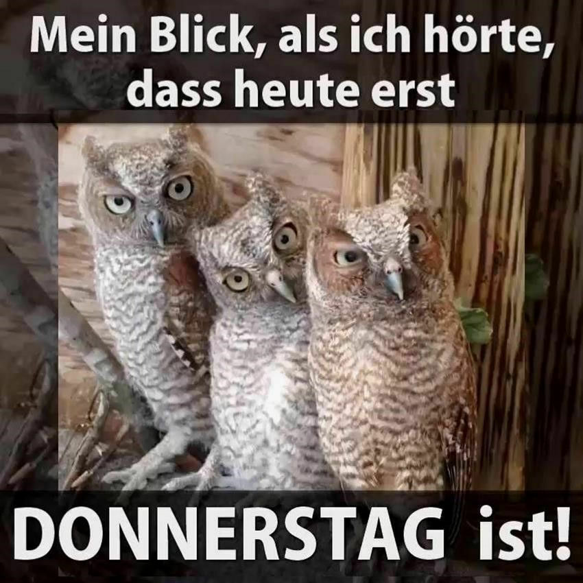 Toms Diskusions - Ecke
