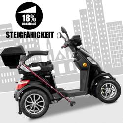 33045-e-quad-25-v2-schwarz-amz