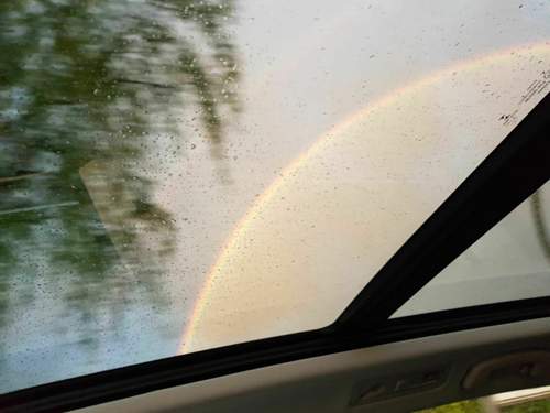 20190509_055758.jpg