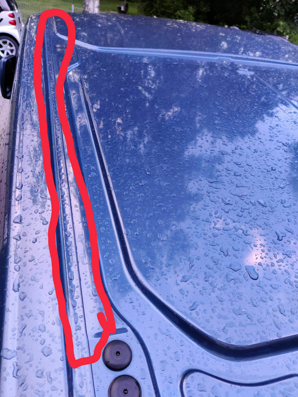 Tourneo Custom Rost auf dem Dach