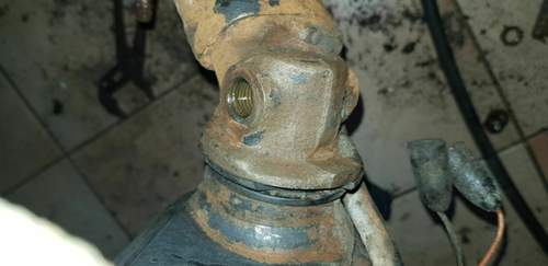 20190424_124955.jpg