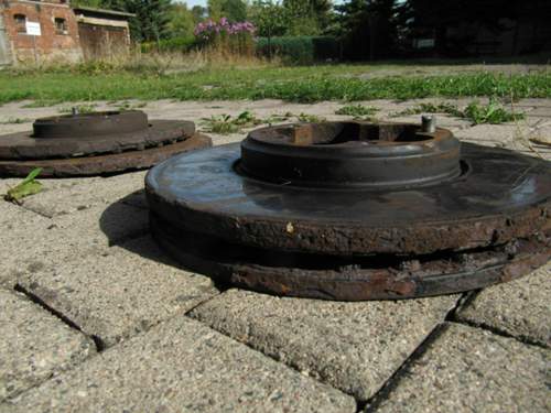 Img-6642