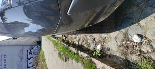 IMG_2021-04-19_12-47-40.jpeg