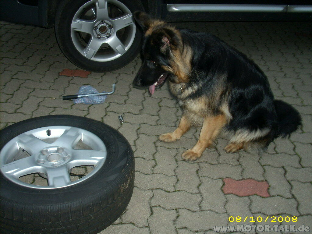 Treffen am 28.03.2008 in Ingolstadt