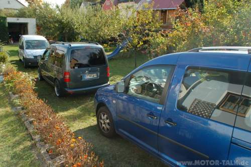 Caddys links auf der Wiese